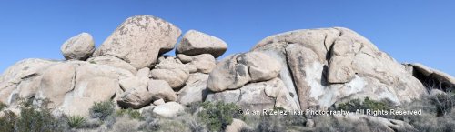 _MG_6488-95_Joshua_Tree_Panorama_72_dpi_900x200