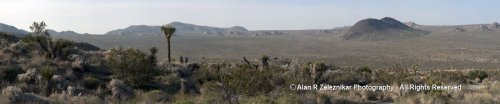 _MG_6536-6546_Joshua_Tree_Pleasant_Valley_Panorama_2_72_dpi_900x187