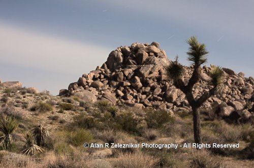 _MG_6602_JTNP_Full_Moon_3_72_dpi_900x600