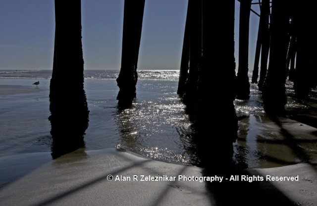 The Tide Creeps In