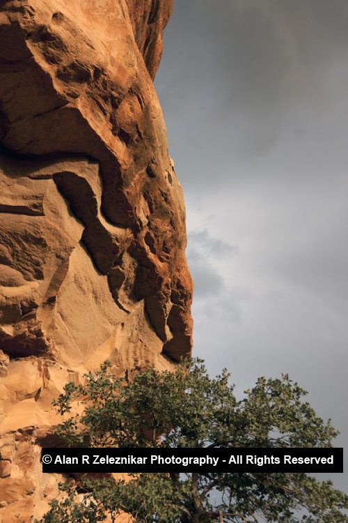 _MG_8945_Sedona_Honanki_Cliff_1_72_dpi_900x600