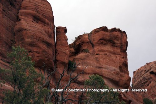 _MG_8965_Sedona_Honanke_Cliff_3_72_dpi_900x600